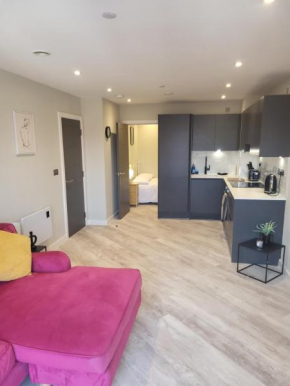 Modern Relaxing 2 Bedroom Apartment - Birmingham